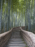 Stairway Through Bamboo Grove Above Adashino Nembutsu-Ji Temple