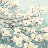 Dogwood Blossoms II