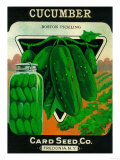 Cucumber Seed Packet