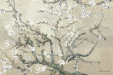 Almond Branches in Bloom  San Remy  c1890 (tan)