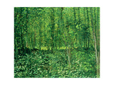 Woods and Undergrowth  c1887
